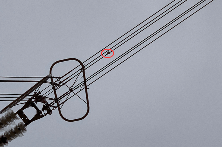 初心如磐，特力康高壓輸電線路導(dǎo)線溫度在線監(jiān)測(cè)系統(tǒng)